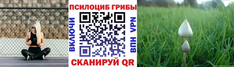Псилоцибиновые грибы мухоморы  Снежинск 